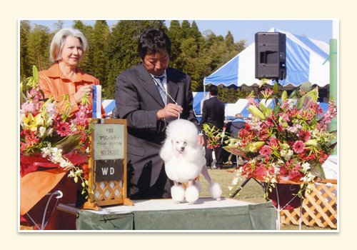 菅原ブリーダーの画像