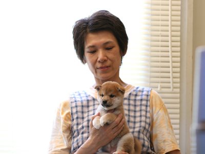 小山ブリーダーの画像