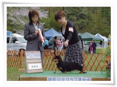 中川ブリーダーの画像