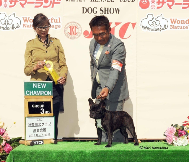 有吉ブリーダーの画像