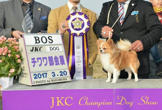 近藤ブリーダーの画像