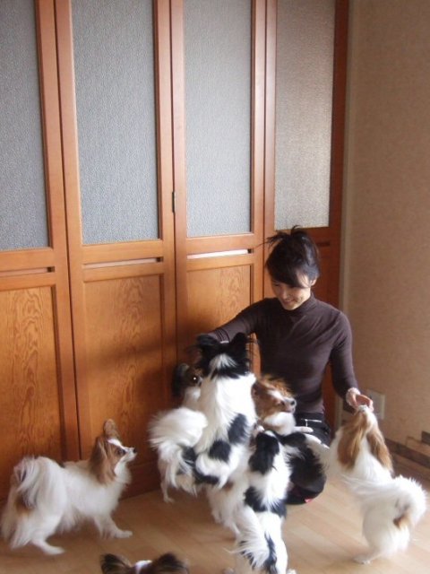 吉井ブリーダーの画像